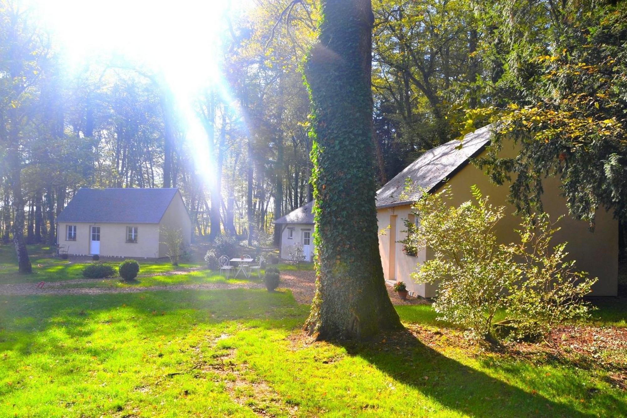 Hotel Les Grands Chenes Saint-Fargeau  Oda fotoğraf
