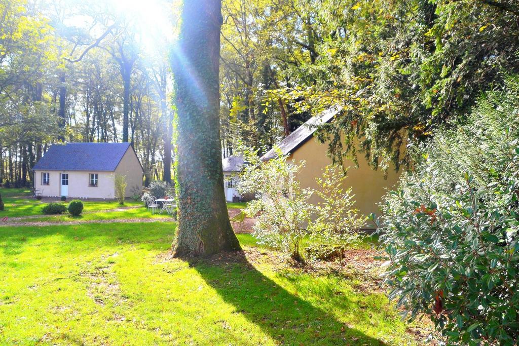 Hotel Les Grands Chenes Saint-Fargeau  Oda fotoğraf